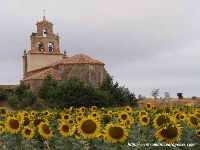 San Juan Bautista - Rioseco